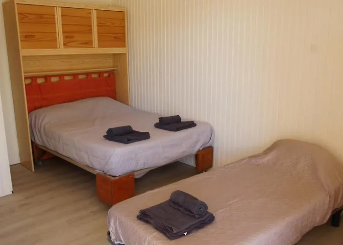 Hippocampe Bord De Appartement *